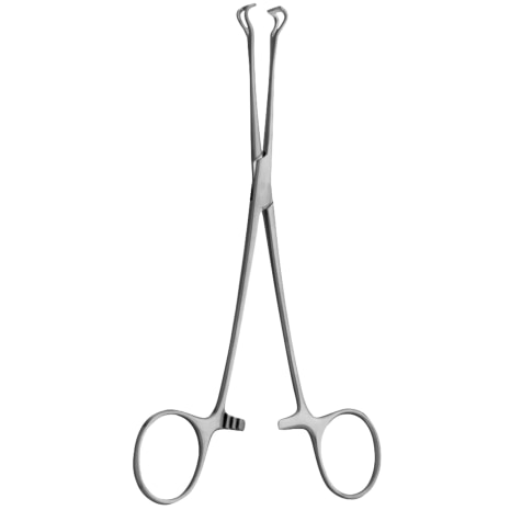 BABCOCK TISSUE HOLDING FORCEPS STD 6-1/4 Shop STERIS Product Number SU5000