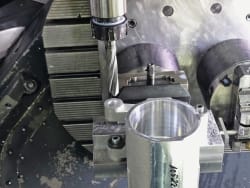 Starke Schnitte, langes Leben