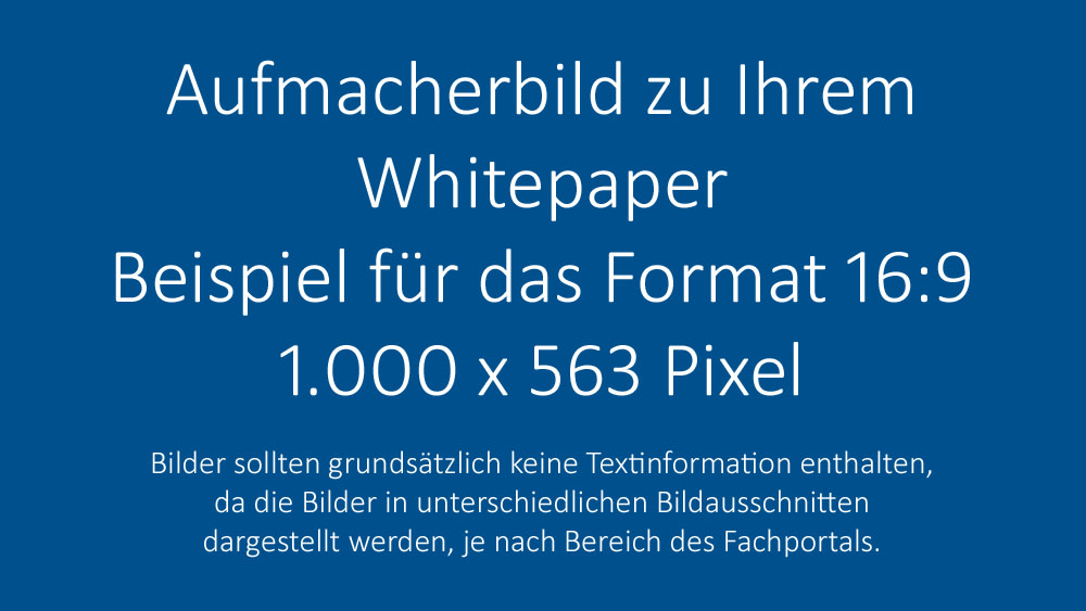 Whitepaper Beispiel-Artikel