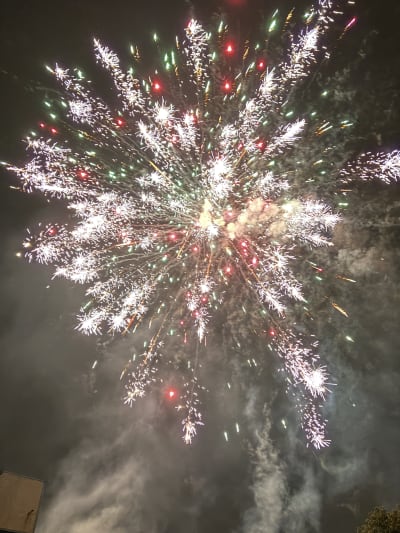 The first image provides comprehensive guidelines for writing effective alt text for various image types, while the second image is a photograph of a large, colorful firework bursting in a dark, smoky night sky.