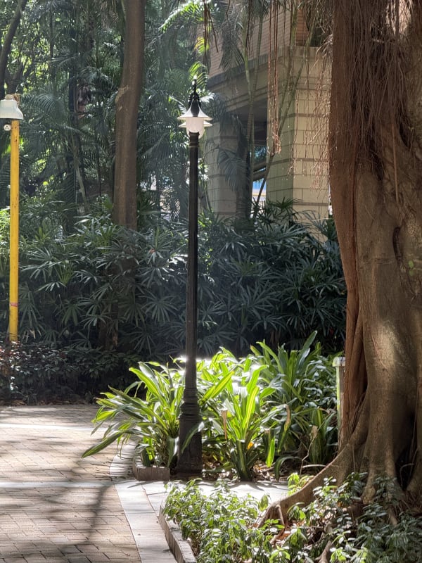 A lamp in fancy sades