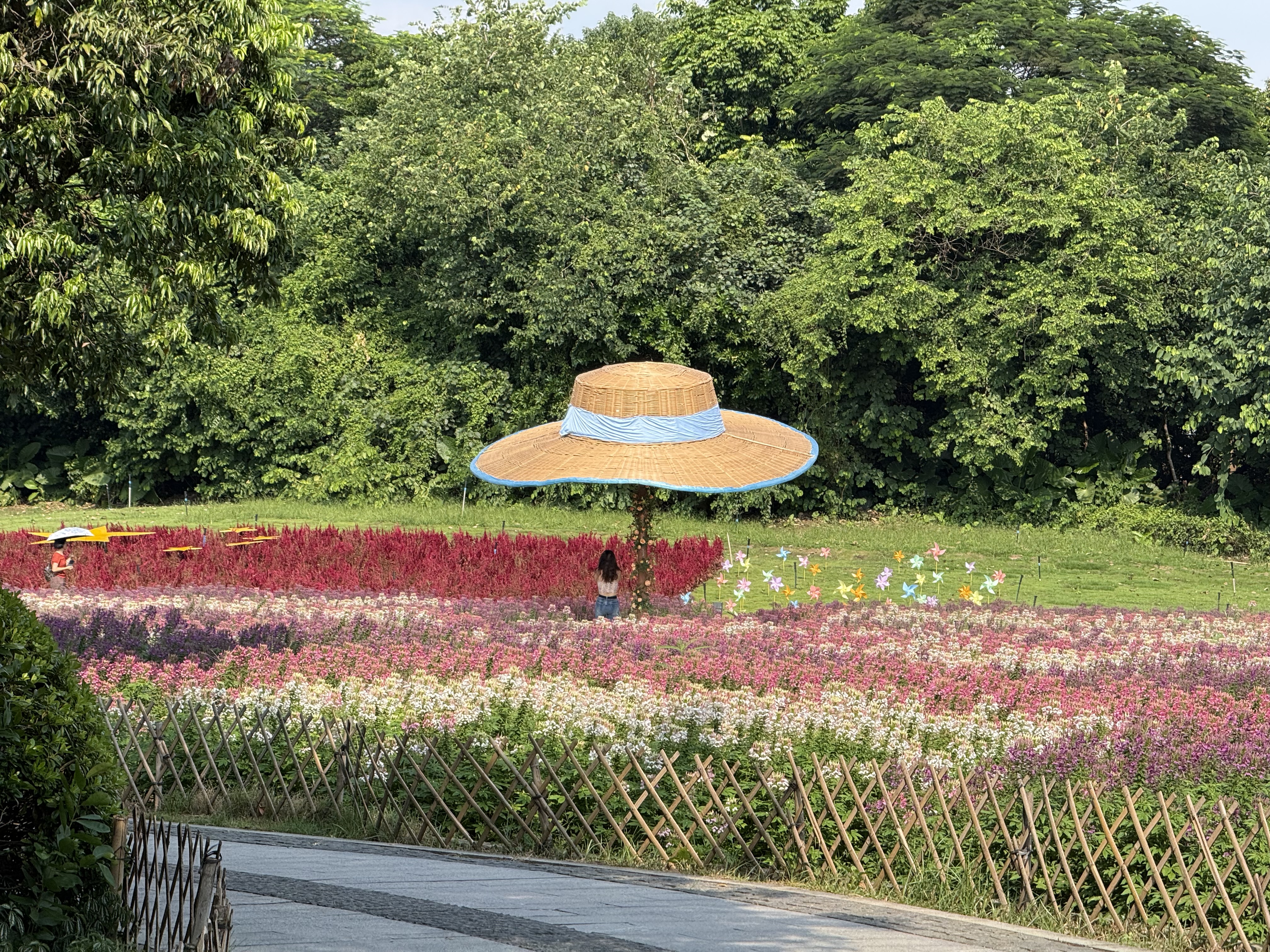 Hat umberlla
