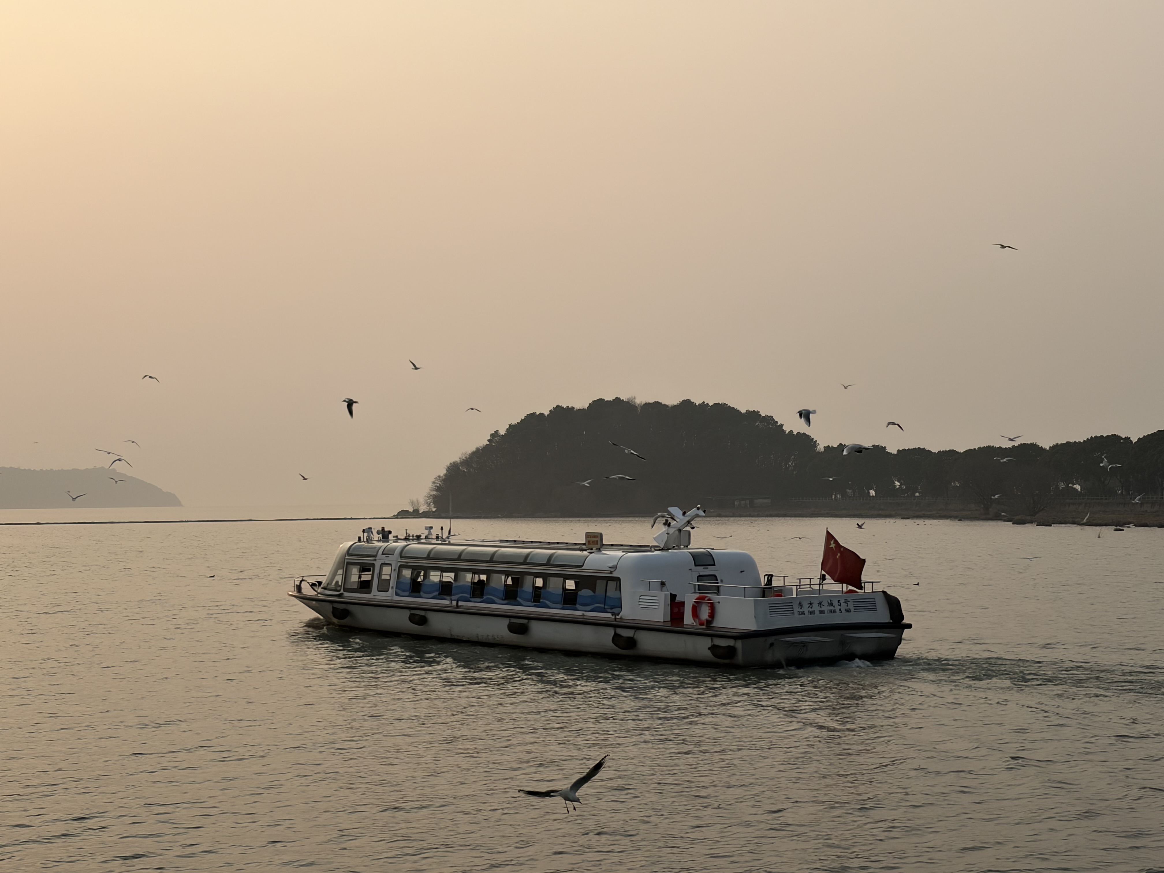 Sunset. Tourist boat being surrounded by water birds. Afar is an island covered with green plants