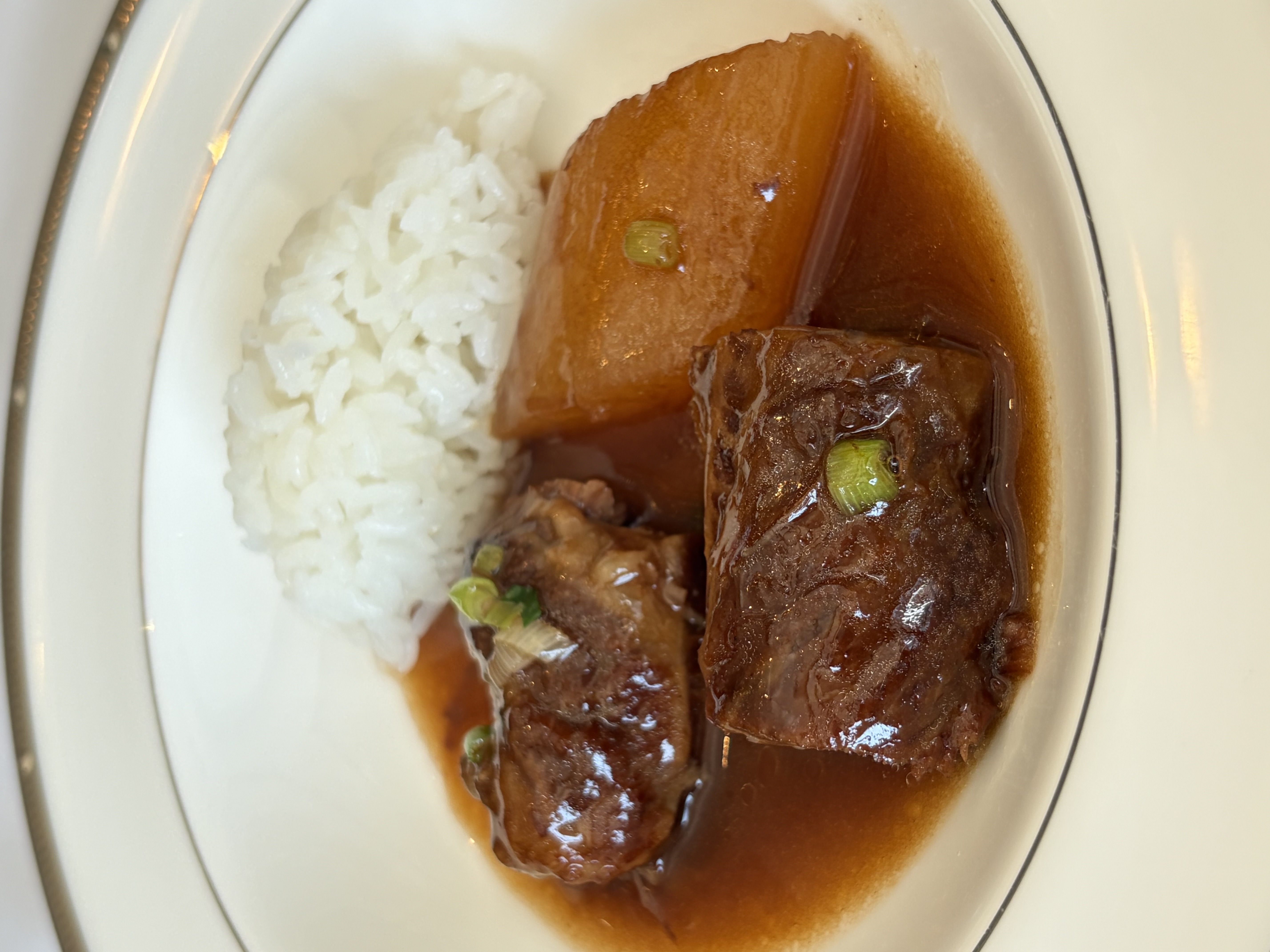 Close-up of glossy, brown-sauced meat with green onions, served beside white rice on a plate.