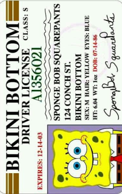 Sticker para tarjeta de Licencia de Manejo de Bob Esponja