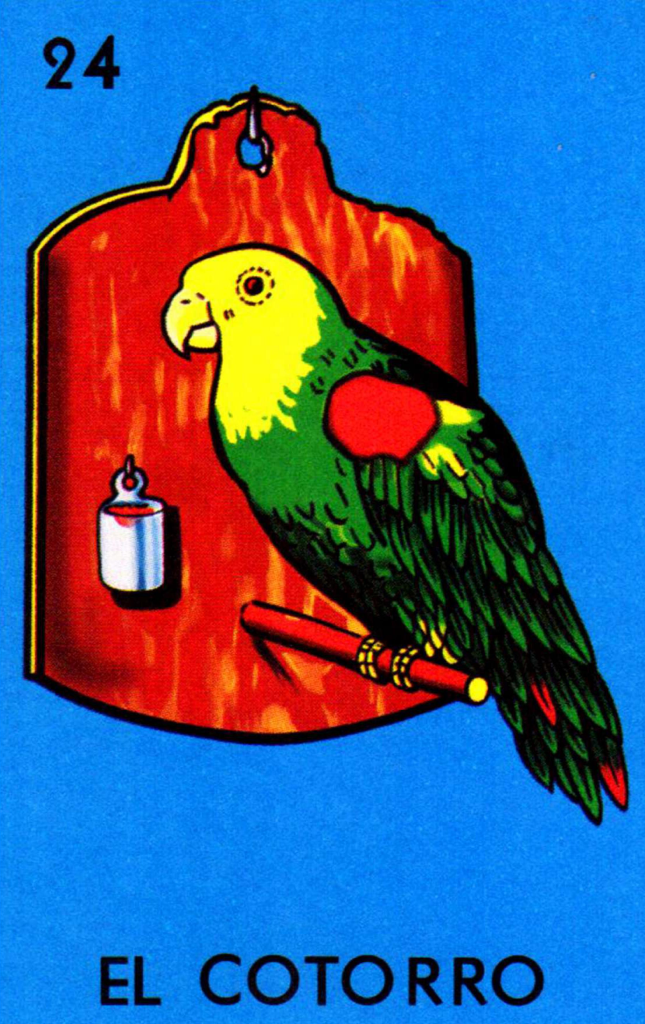 Sticker de El Cotorro Lotería Mexicana para tarjeta de metro, débito, metrobus, crédito | Sticky Covers