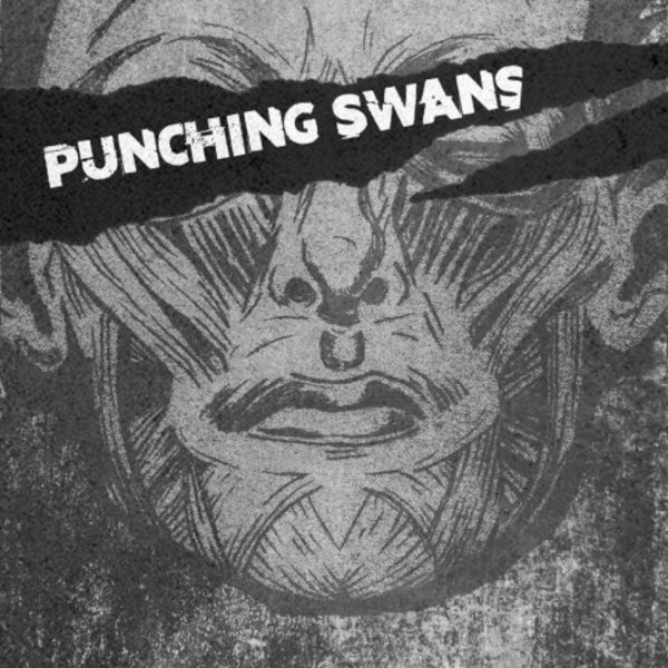 Punching Swans / Screen Wives + MORE TBA at New Cross Inn promotional image