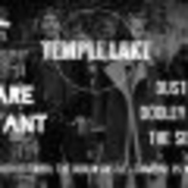 Temple Lake + Flare Voyant + Dustin Dooley And The Sesh at Dublin Castle promotional image