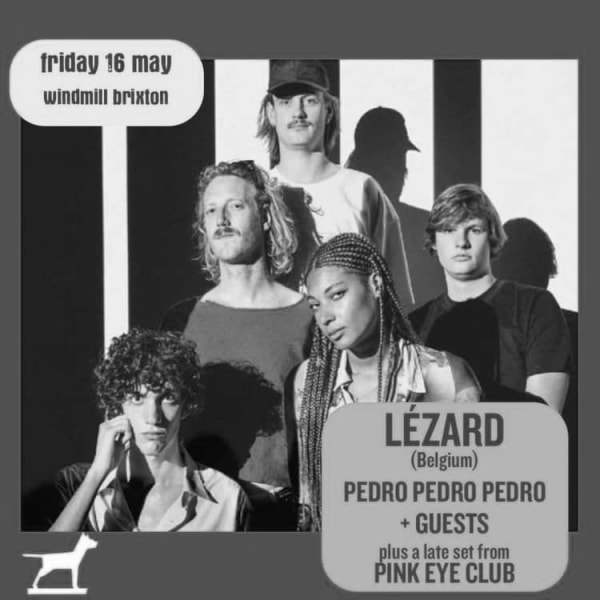 Lézard, Pink Eye Club, Pedro Pedro Pedro  at Windmill Brixton promotional image