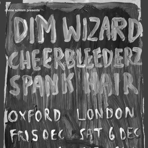 Divine Schism presents: Dim Wizard, Cheerbleederz, Spank Hair at New River Studios promotional image