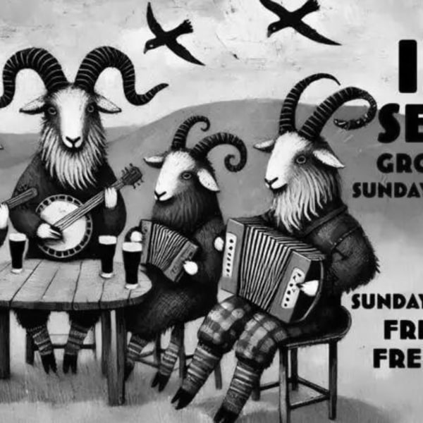 Irish Music Session at The Harrison promotional image