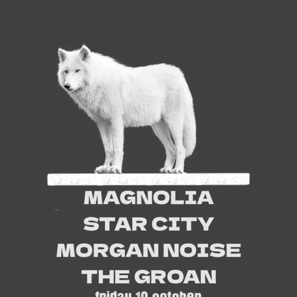 Magnolia, Star City, Morgan Noise, The Groan  at Windmill Brixton promotional image
