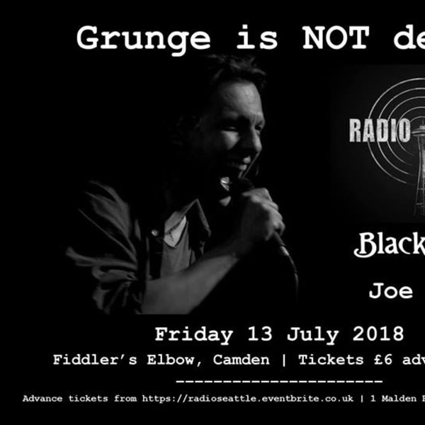 
                Grunge is NOT Dead - night of classic grunge covers and originals! at The Fiddler's Elbow promotional image