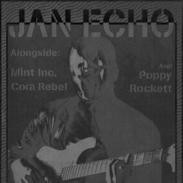 
                MoleCore Presents: Jan Echo/Mint Inc/Poppy Rockett/Cora Rebel at The Fiddler's Elbow promotional image