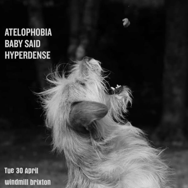 Atelophobia, Baby Said, Hyperdense  at Windmill Brixton promotional image