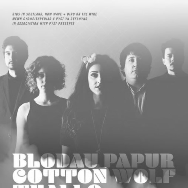 Welsh Language Gig: Blodau Papur, Cotton Wolf & Thallo at The Victoria promotional image