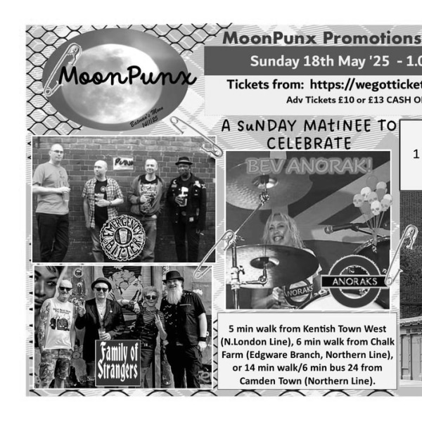 
                Punk Sunday Matinee  at The Fiddler's Elbow promotional image