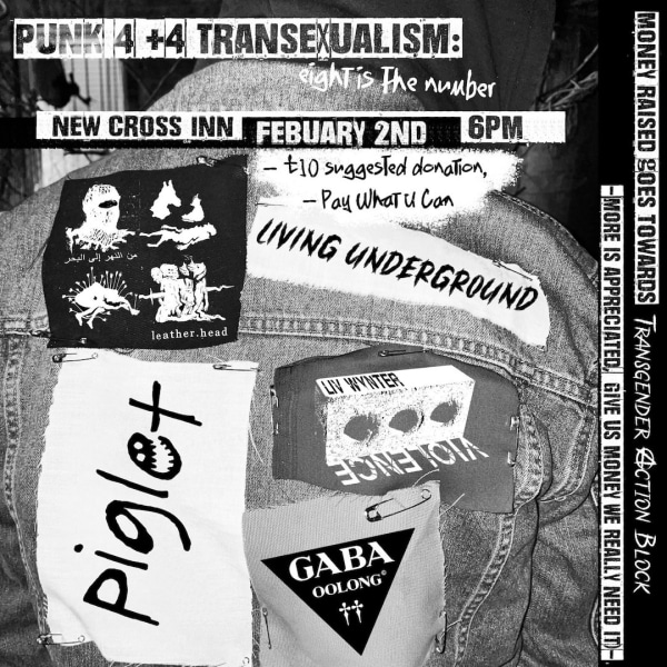 Punk 4 Transexualism 8 at New Cross Inn promotional image