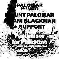 Mount Palomar,  Jelani Blackman  at Windmill Brixton promotional image