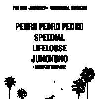 Pedro Pedro Pedro, Speedial, Lifeloose, Junonuno  at Windmill Brixton promotional image