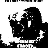 "Dog Boners", Star City, Lackaday, Sun God  at Windmill Brixton promotional image