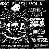 Burning Flesh Vol. 1 – TERMINAL FILTH (DE) X SPEEDKOBRA (DE/IT) plus market, DJs and more at New River Studios promotional image