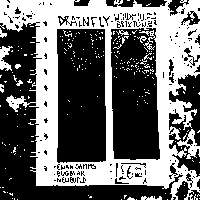 drainfly, Ewan Samms, Bugbear, New Build  at Windmill Brixton promotional image