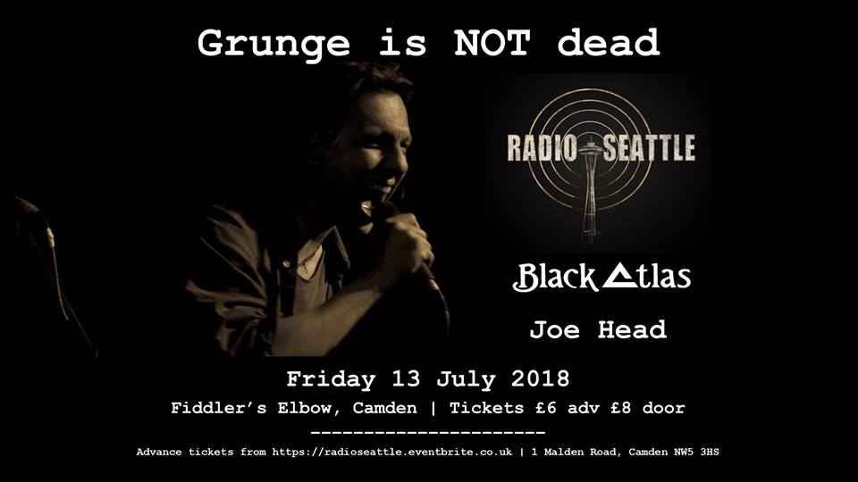 
                Grunge is NOT Dead - night of classic grunge covers and originals! at The Fiddler's Elbow promotional image