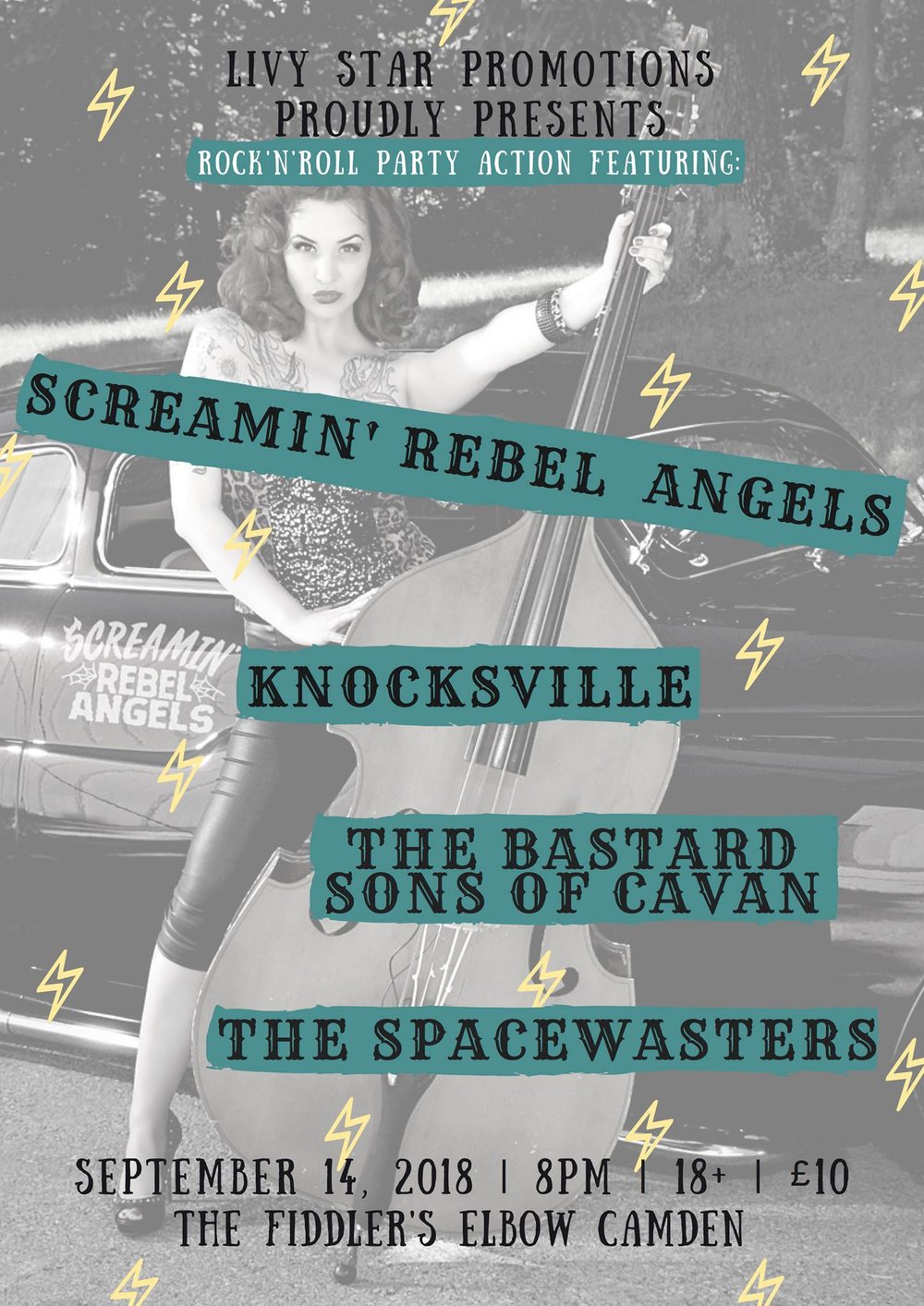 
                Livy Star Promotions proudly presents...PUNKY ROCK n ROLL at The Fiddler's Elbow promotional image