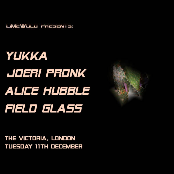 Limewold Presents: Yukka / Joeri Pronk / Alice Hubble at The Victoria promotional image