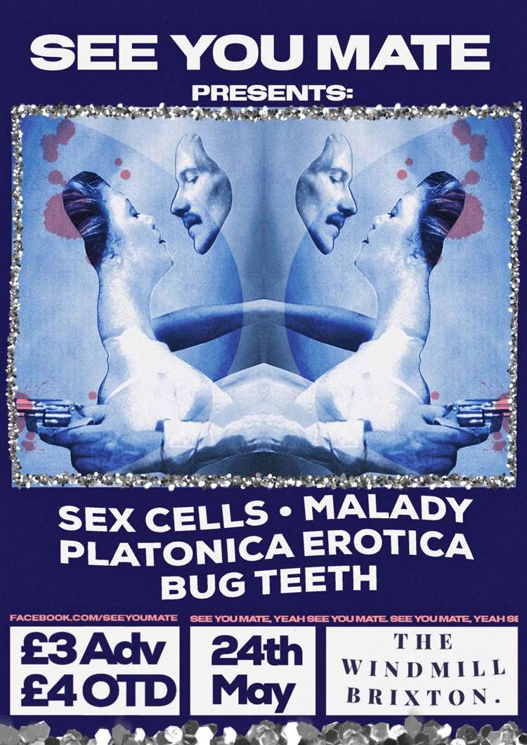 Sex Cells, Malady, Platonica Erotica, Bug Teeth  at Windmill Brixton promotional image