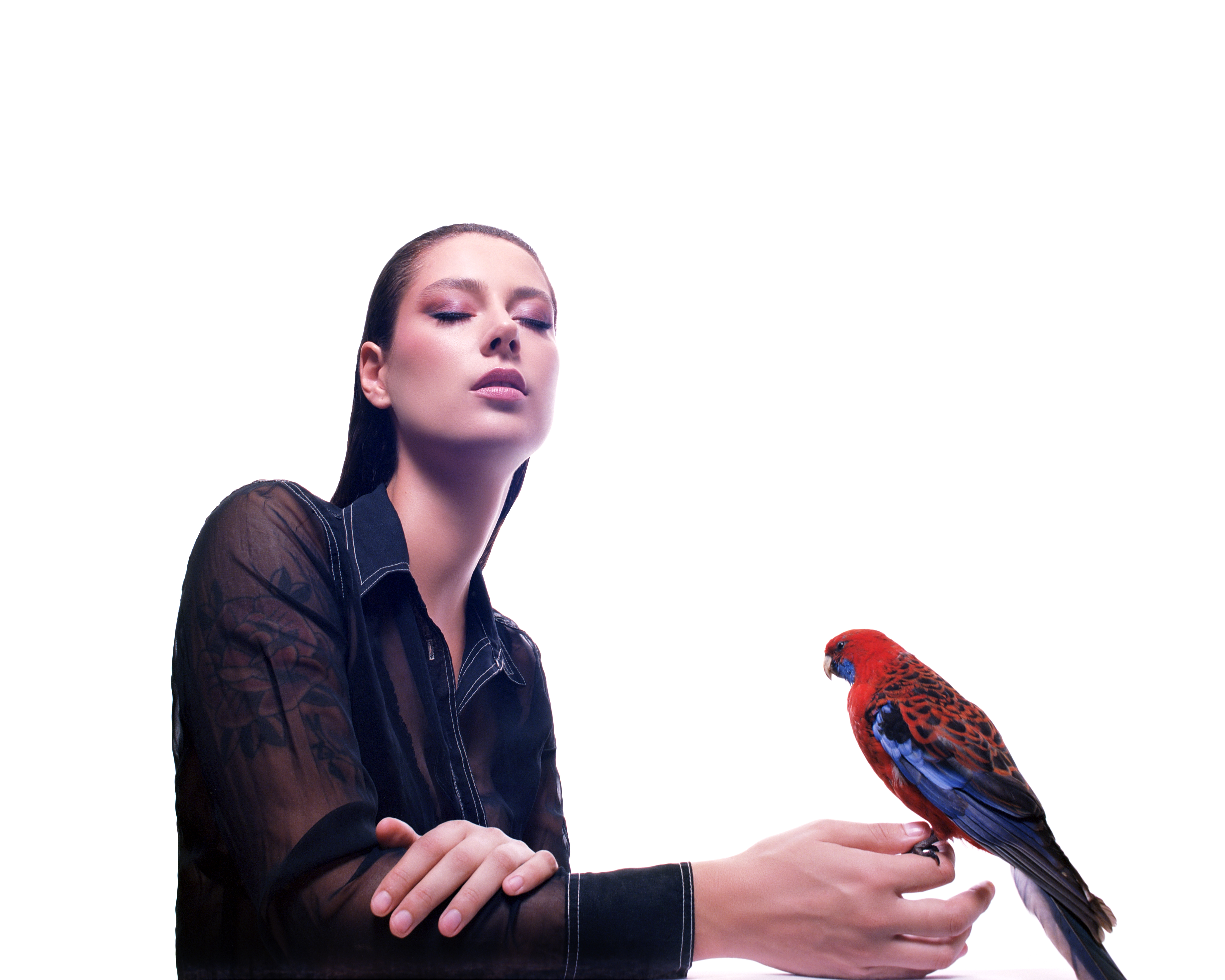 Grace Cummings and her Band  at Windmill Brixton promotional image