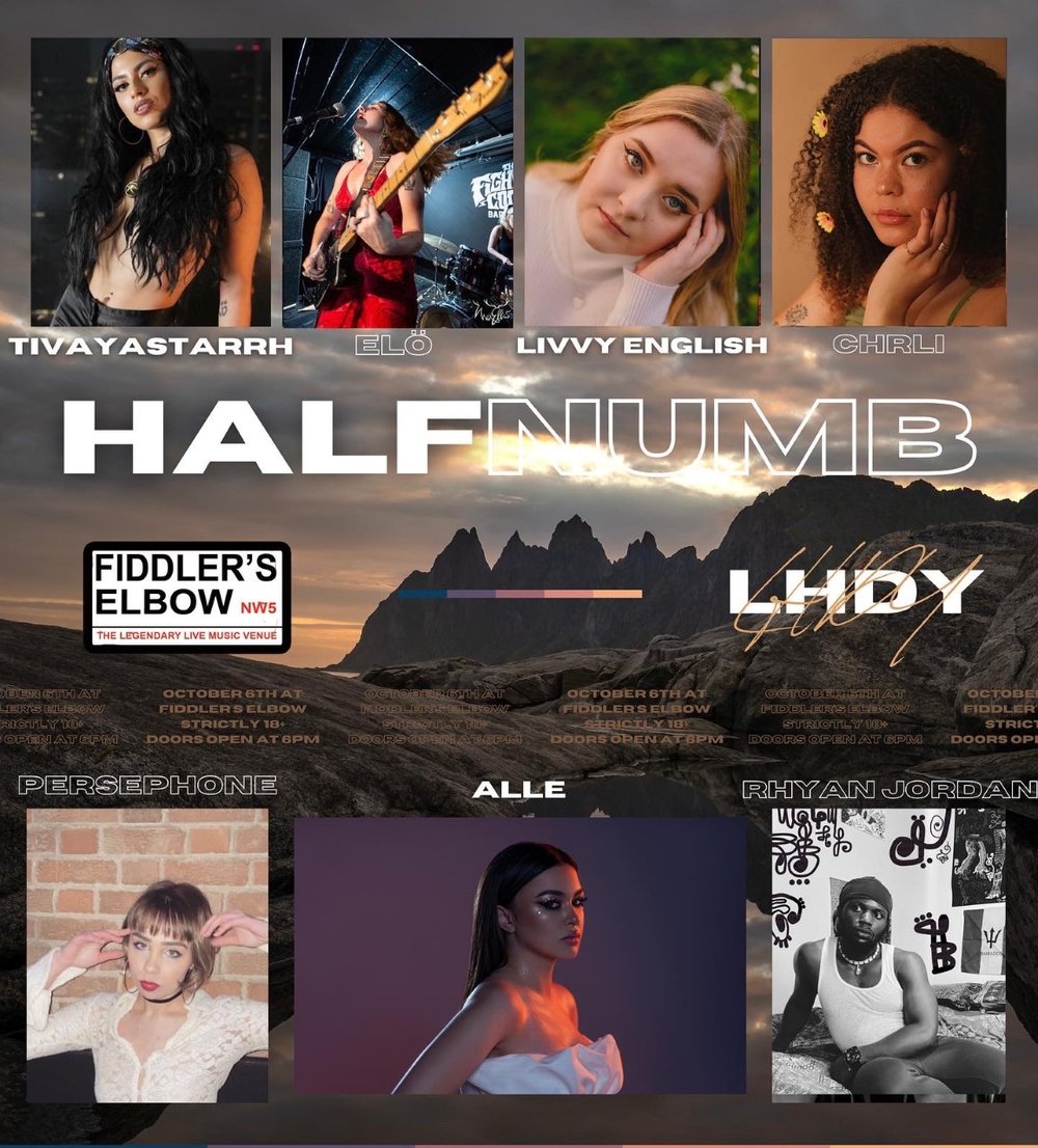 
                HALFNUMB PRESENTS - LIVE MUSIC EVENT at The Fiddler's Elbow promotional image