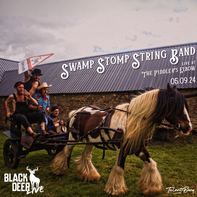 
                Swamp Stomp String Band LIVE at The Fiddler's Elbow promotional image