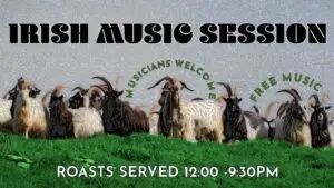 Irish Music Session at The Harrison promotional image