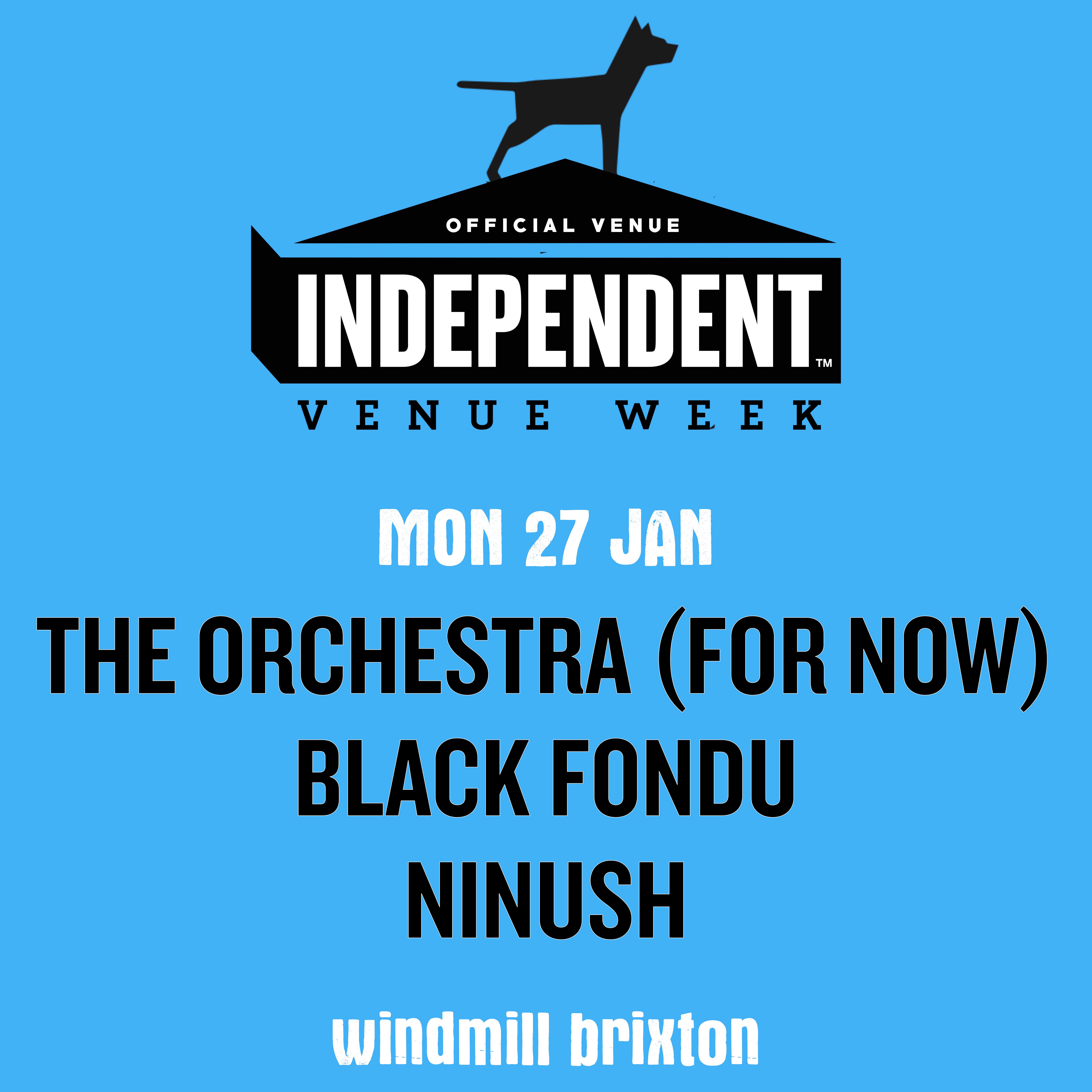 IVW 25 - The Orchestra (For Now), Black Fondu, Ninush  at Windmill Brixton promotional image