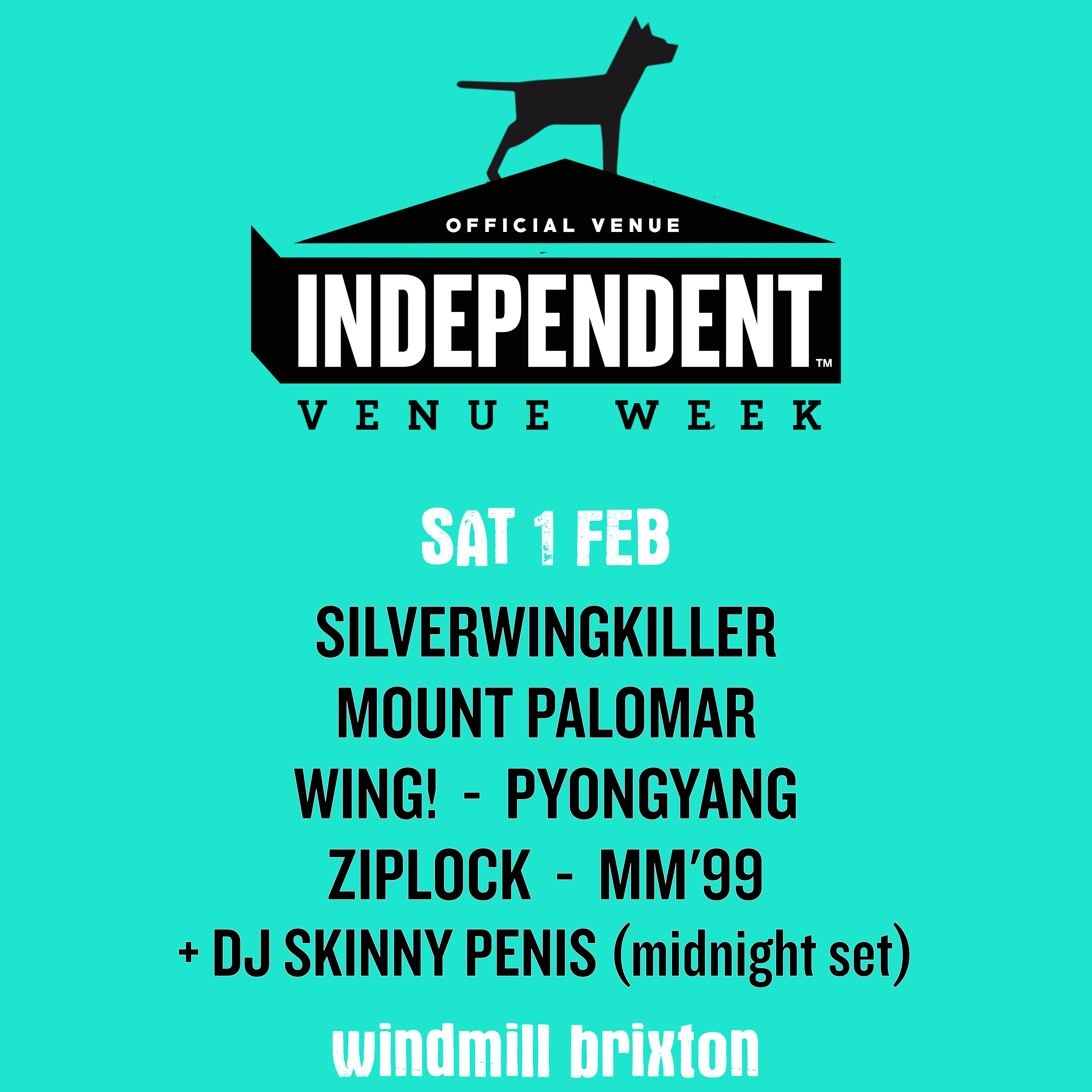 IVW 25 - The Saturday Half-Dayer  at Windmill Brixton promotional image
