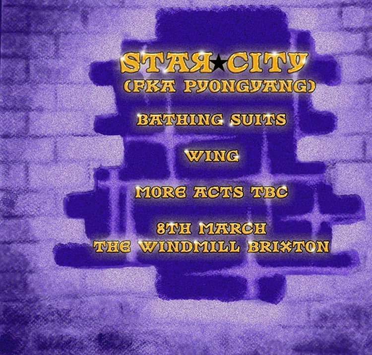 Star City, Bathing Suits, Wing!  at Windmill Brixton promotional image