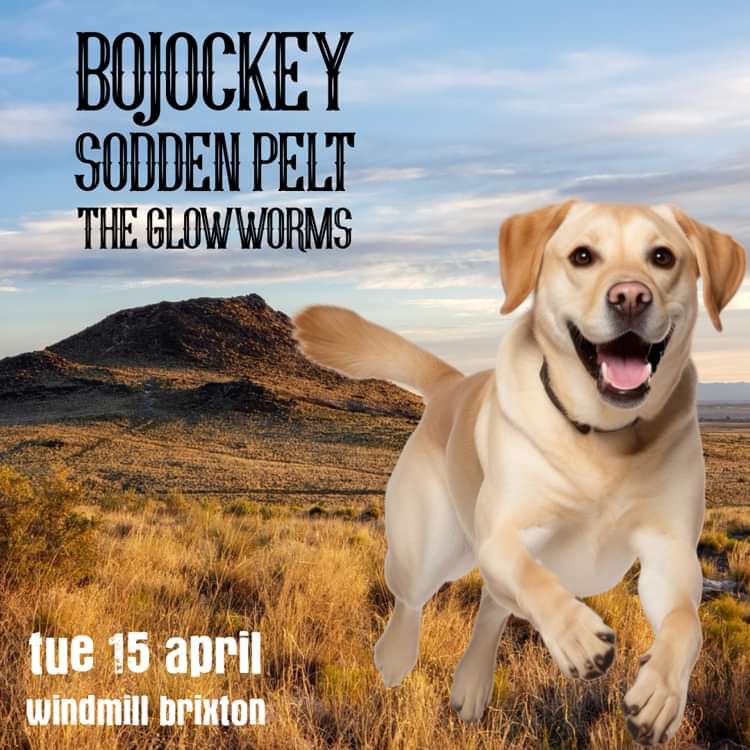 Bojockey, Sodden Pelt, The Glowworms  at Windmill Brixton promotional image