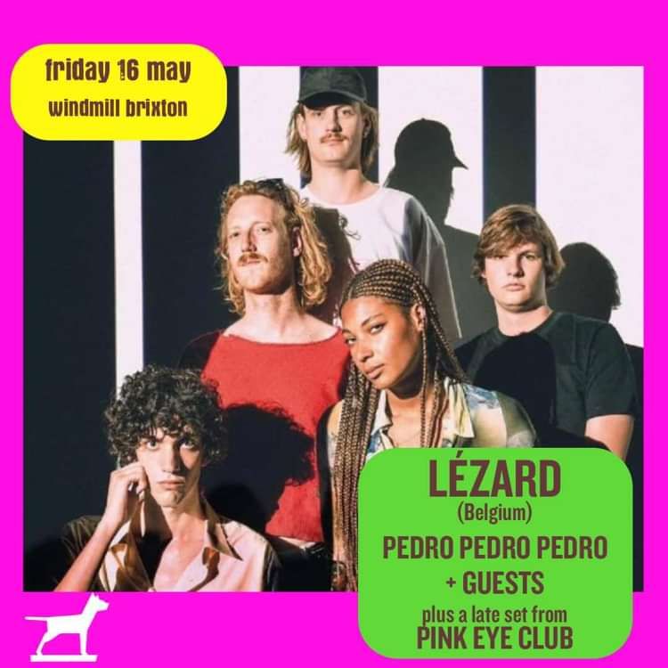 Lézard, Pink Eye Club, Pedro Pedro Pedro  at Windmill Brixton promotional image