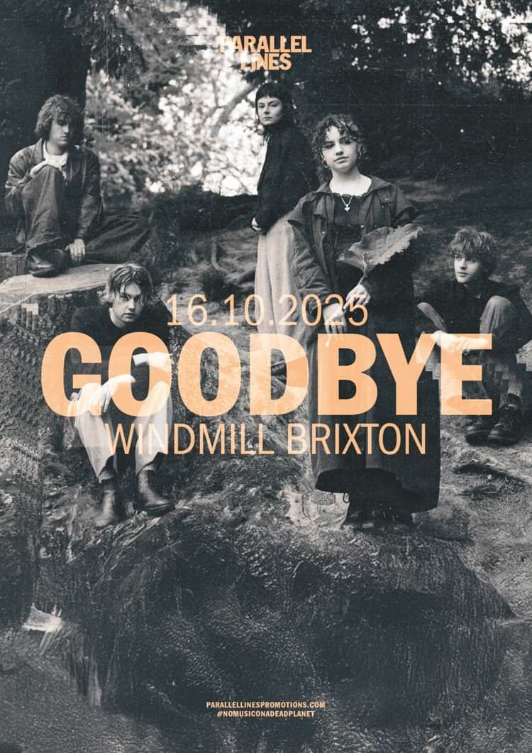 Goodbye  at Windmill Brixton promotional image