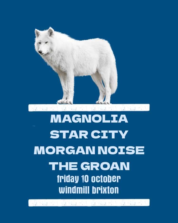 Magnolia, Star City, Morgan Noise, The Groan  at Windmill Brixton promotional image