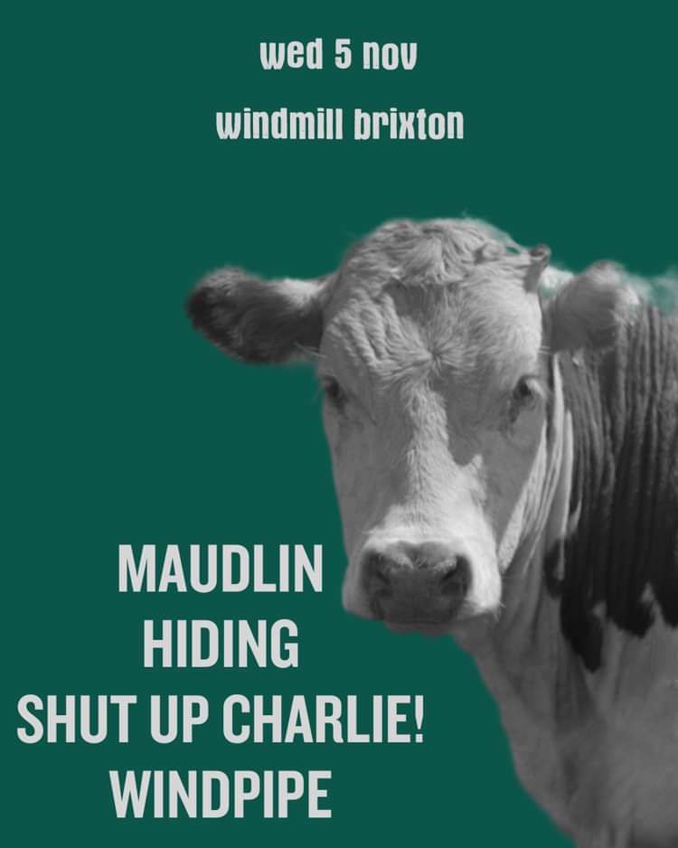 Maudlin, Hiding, Shut Up Charlie, Windpipe  at Windmill Brixton promotional image