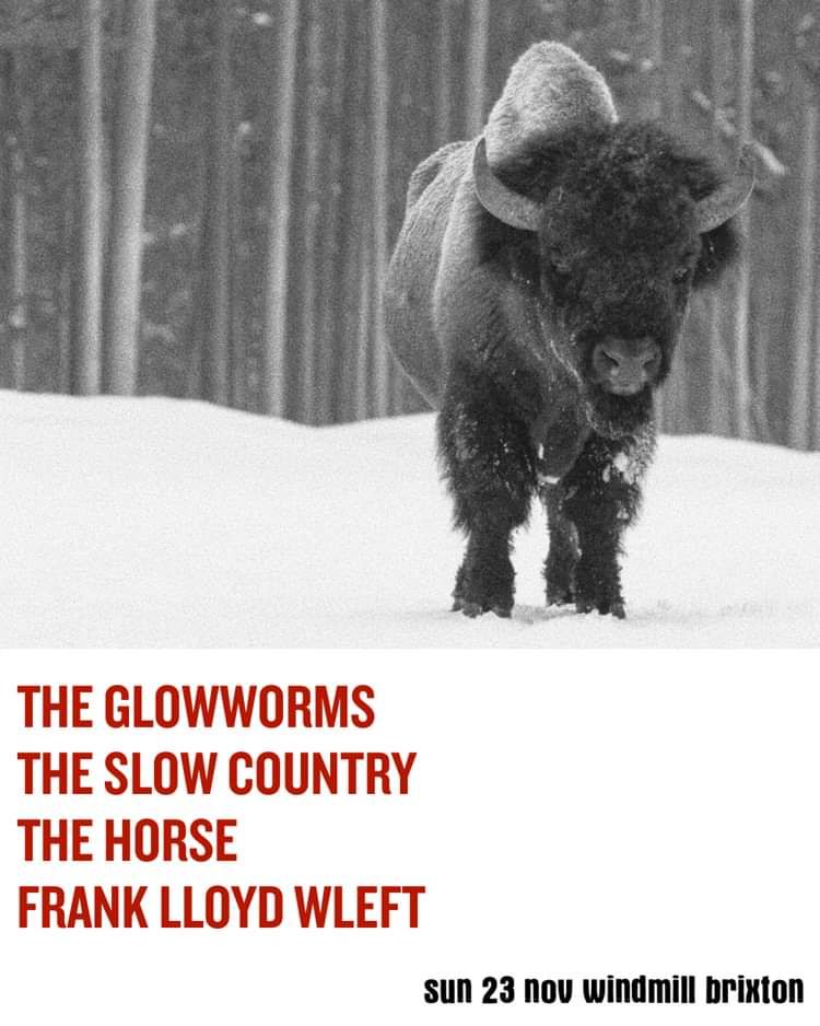 The Glowworms, The Slow Country, The Horse, Frank Lloyd Wleft  at Windmill Brixton promotional image