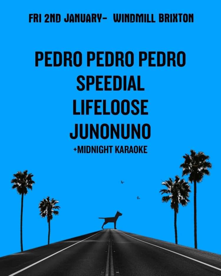 Pedro Pedro Pedro, Speedial, Lifeloose, Junonuno at Windmill Brixton promotional image