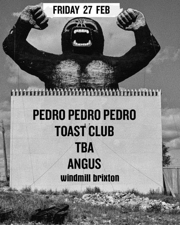 Pedro Pedro Pedro, Toast Club, Angus  at Windmill Brixton promotional image