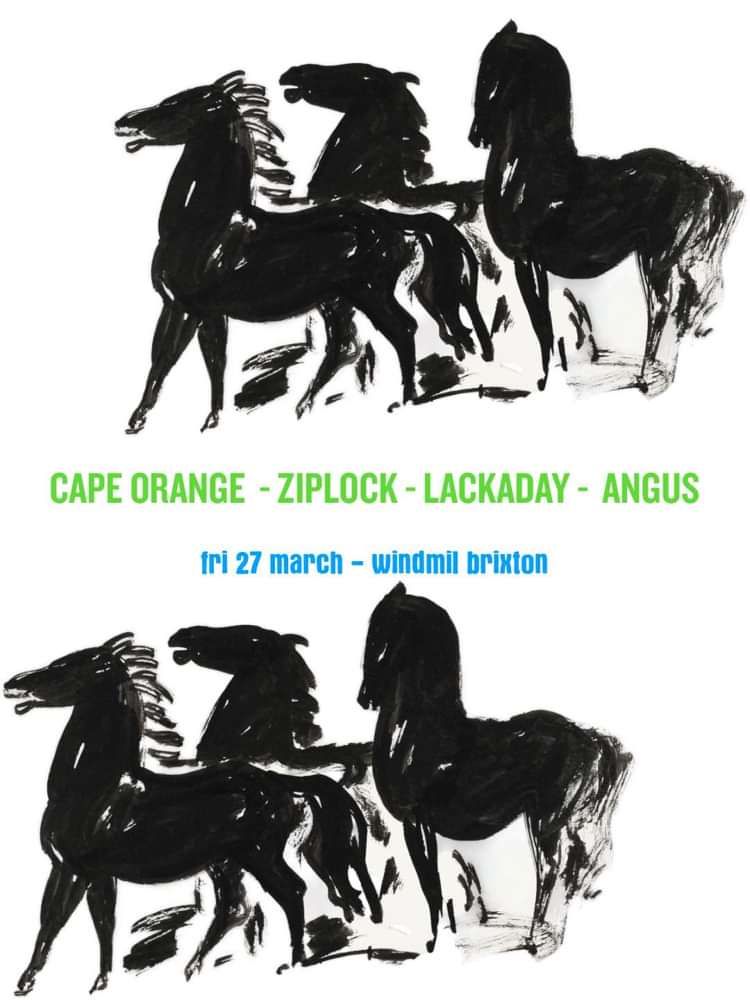 Cape Orange, Ziplock, Lackaday, Angus  at Windmill Brixton promotional image