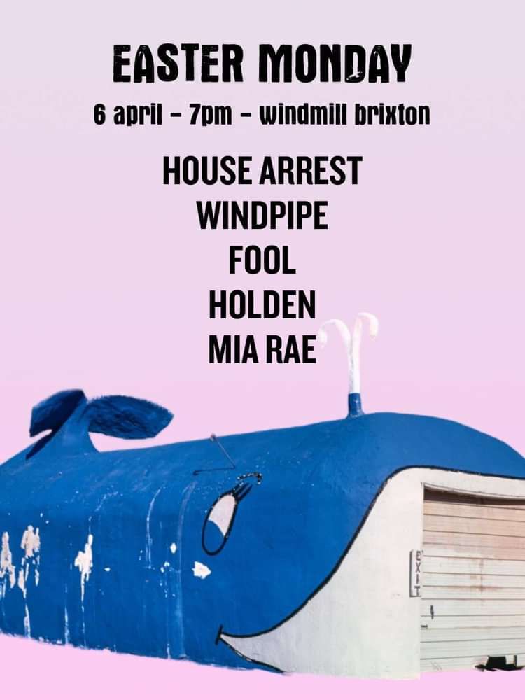 House Arrest, Windpipe, Fool, Holden,  Mia Rae  at Windmill Brixton promotional image