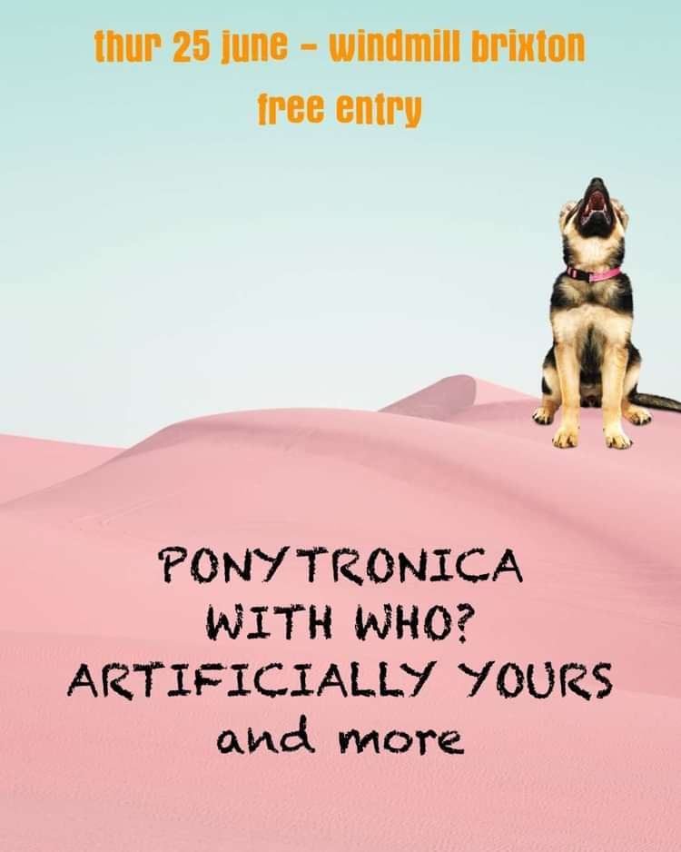 Ponytronica, With Who? Artificially Yours, Tinpot  at Windmill Brixton promotional image