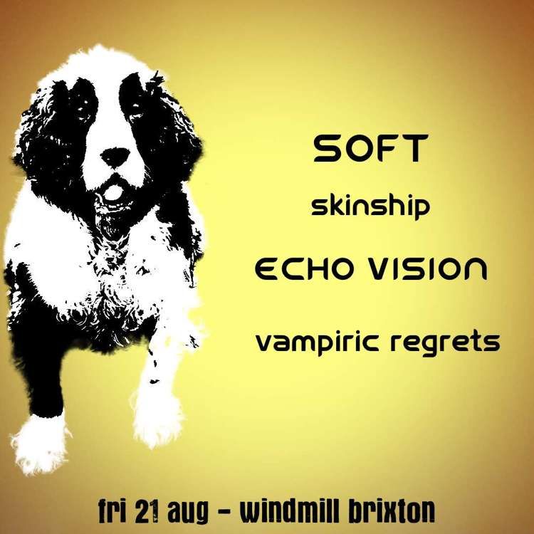 SOFT, Skinship, Echo Vision, Vampiric Regrets  at Windmill Brixton promotional image